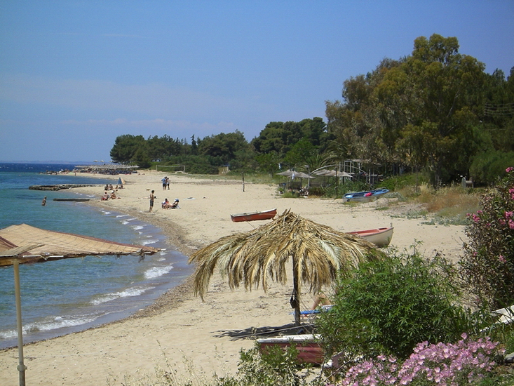  Metamorfosi, Sitonija 